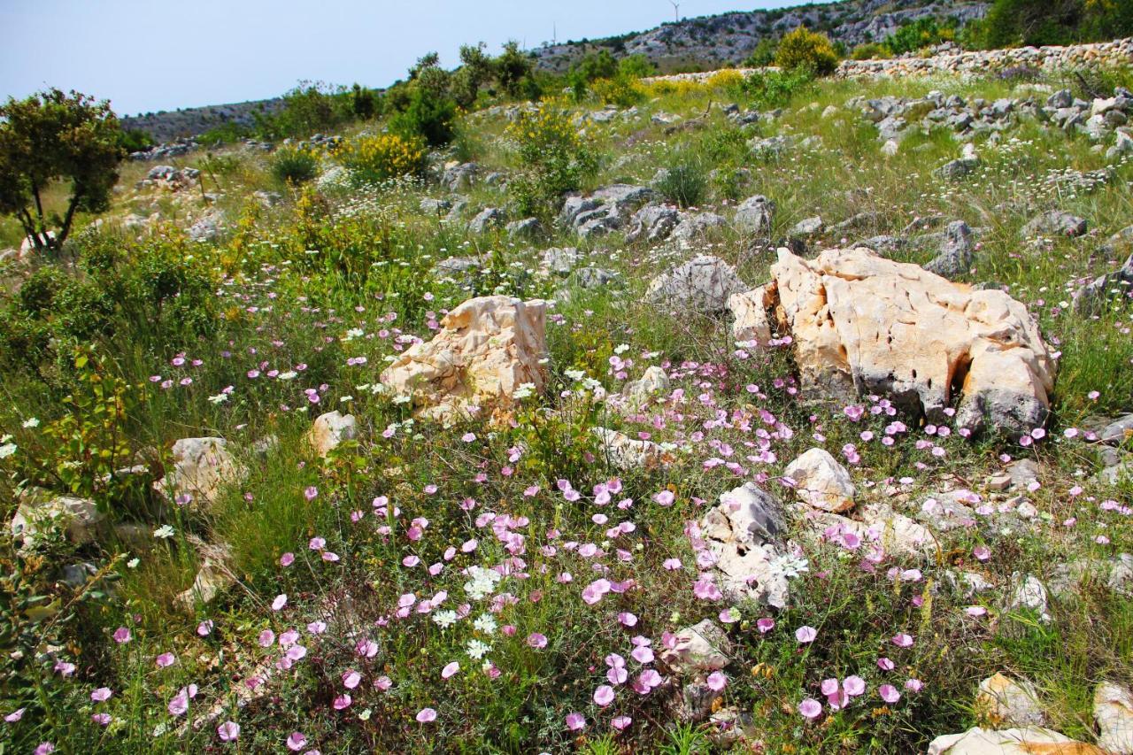 Villa Zlatno Sunce In The Hills Near Trogir Vrsine Dış mekan fotoğraf