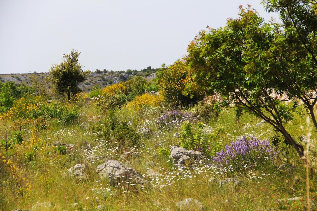 Villa Zlatno Sunce In The Hills Near Trogir Vrsine Dış mekan fotoğraf